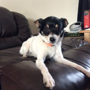 Meet your Posher, Kaylee